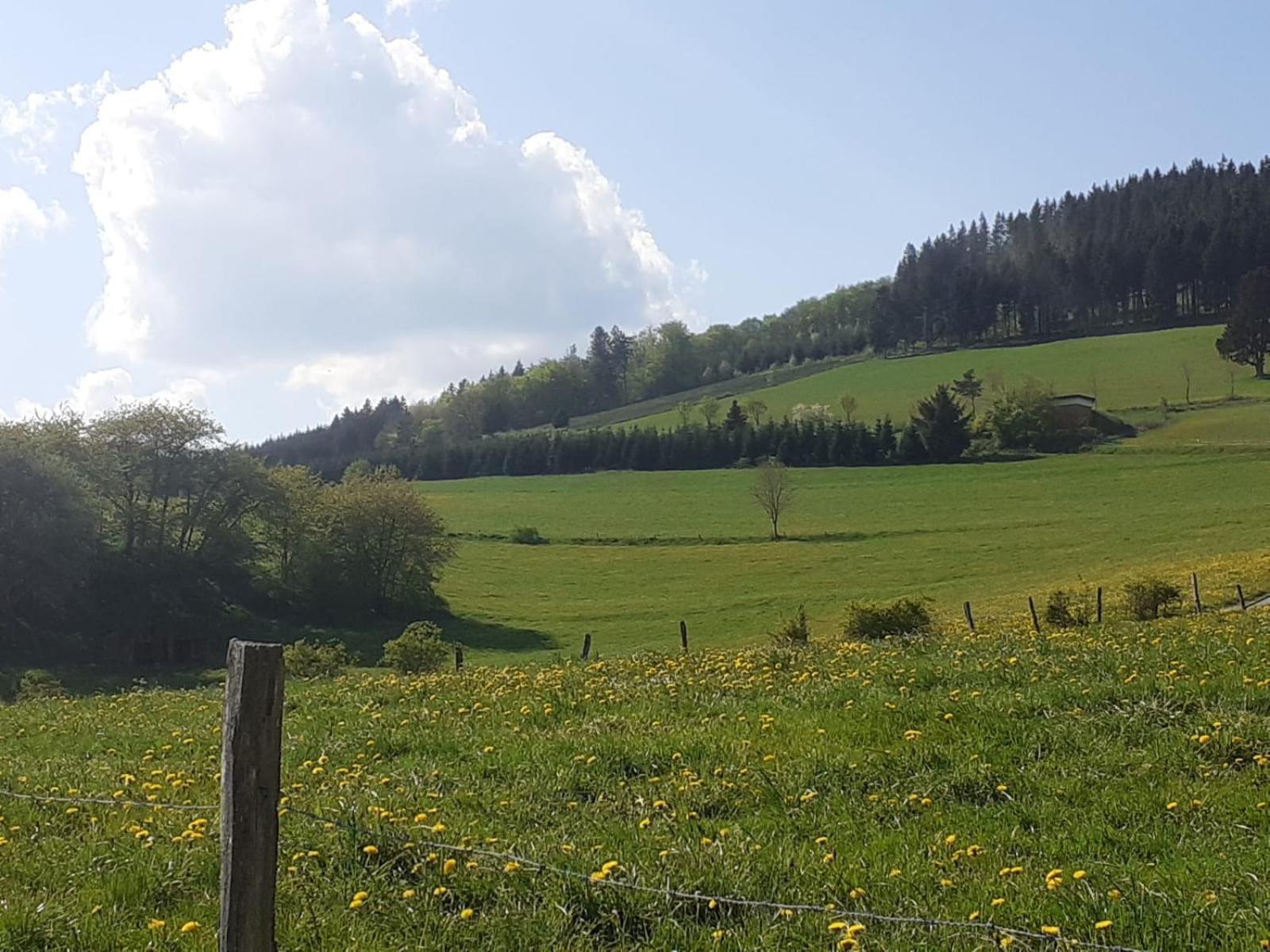 Ferienwohnungen Sternenhimmel Whg 1 Medebach Extérieur photo