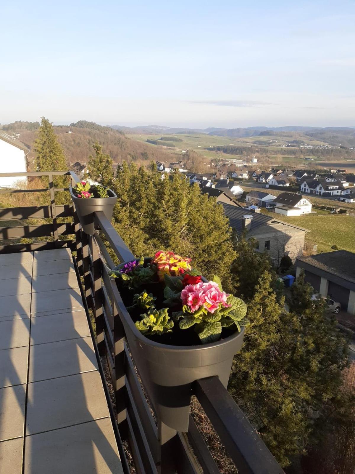 Ferienwohnungen Sternenhimmel Whg 1 Medebach Extérieur photo